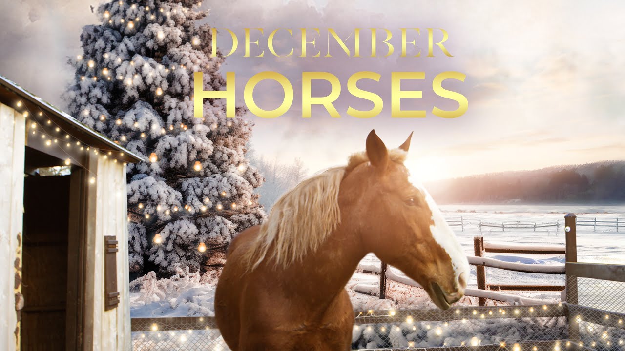 December Horses Trailer